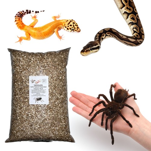 Vermiculite reptile egg - vermiculite,