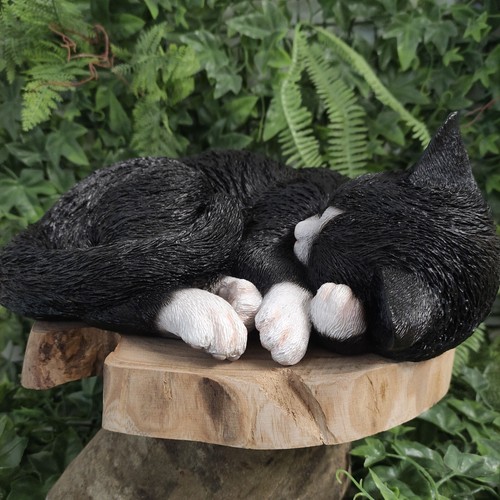 Vivid arts realistic - realistic, sleeping
