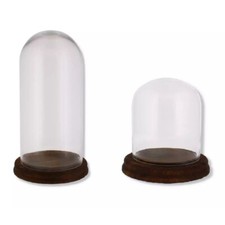 Glass Display Dome Bell Jar Cloche Wooden Base Figure Action Gift Table Decor