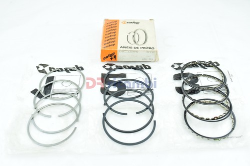 Cofap elastic rings - rings, for
