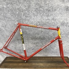 Vintage Team Raleigh Record