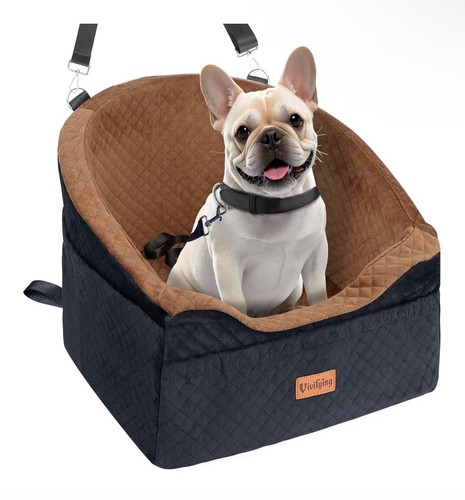 Vivifying dog car - dog, memory