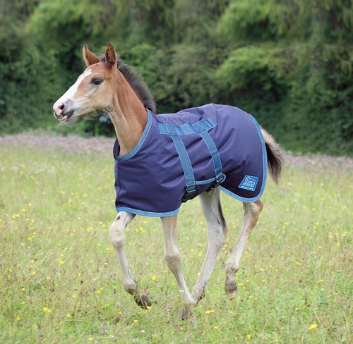 Shires highlander foal rug - highlander,