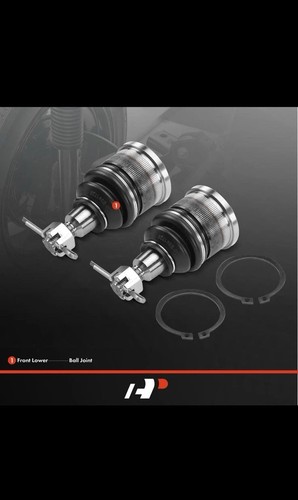 Front lower ball joints - ball,