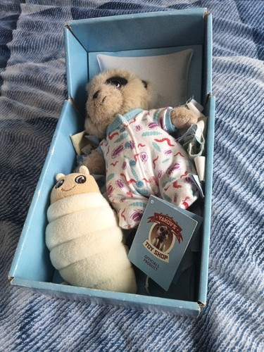 Baby oleg meerkat with - oleg, grub