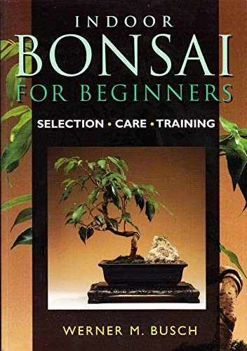 Indoor bonsai for beginners - indoor,