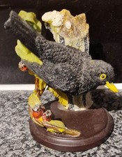 The Country Bird Collection