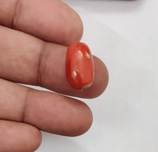 100% Natural Italian Coral Loose Gemstone Vintage Red Coral Oval Undyed Cabochon