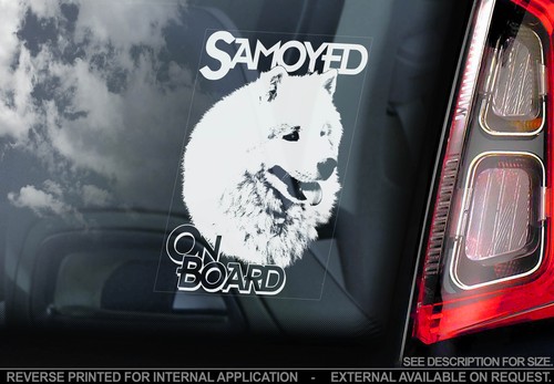 Samoyed car window - samoyed, sticker