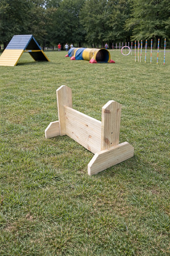 Wooden small dog agility jumps - agility,