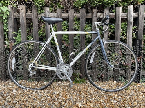 Raleigh equipe mens - raleigh,