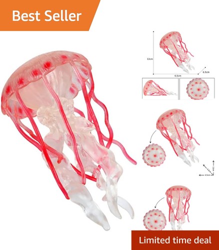 Colorful jellyfish octopus - colorful, &