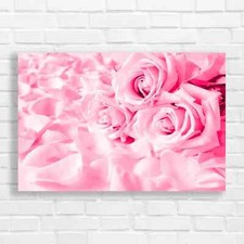 Elegant Blush Pink Rose Pink