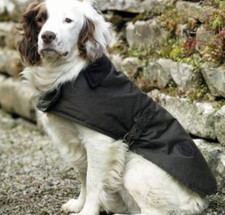 BARBOUR Matt Waxed Cotton Dog Coat MSRP$110 in Olive British Classic