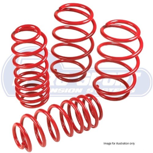 Prosport lowering springs - prosport,
