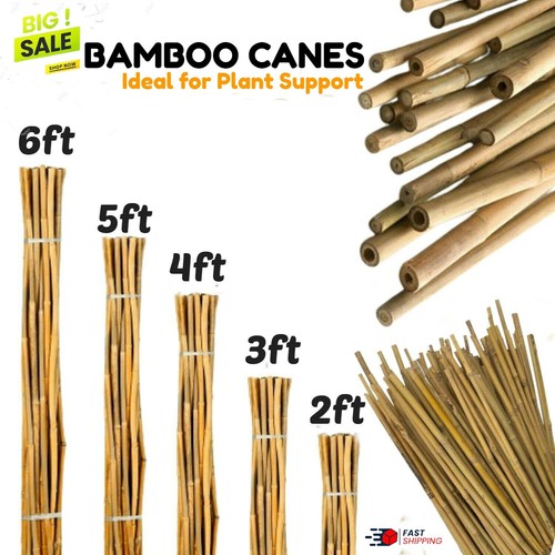 Bamboo garden canes - garden,