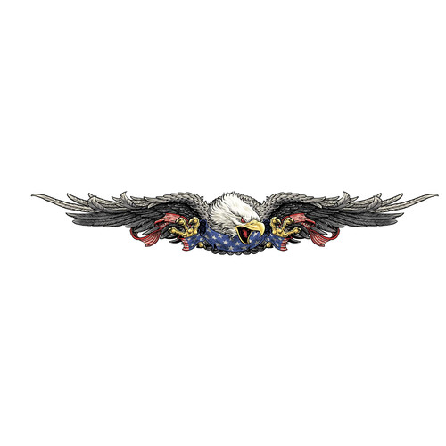 Sticker eagle usa 89x14cm - sticker,