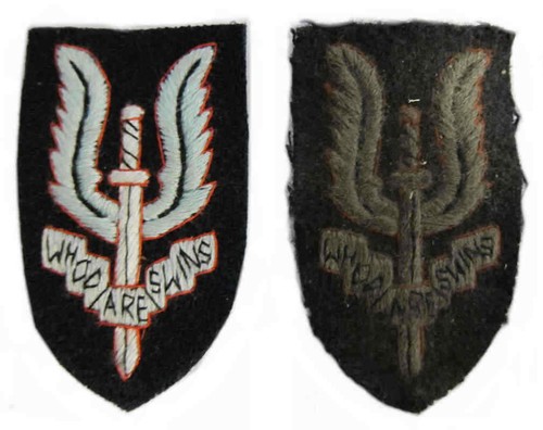Sas cap badge pattern - cap, 3d