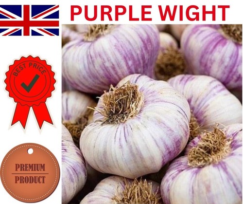 Garlic cloves 500 - cloves, 5