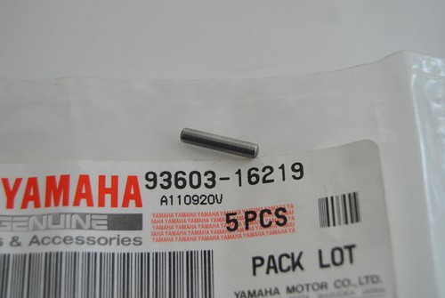 Oil pump dowel pin - pump,