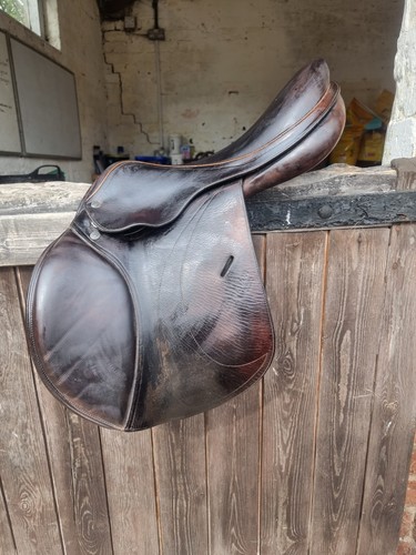 Equipe expression jump saddle - expression,
