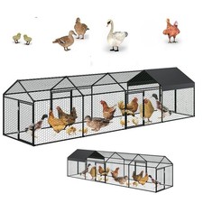 Extra Large Walk In Chicken