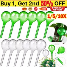 Plant Self Watering Bulb Clear