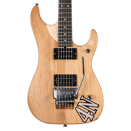 Washburn nuno bettencourt - washburn,