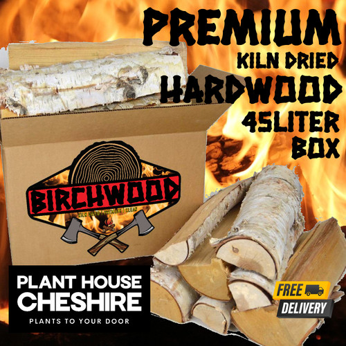 Hardwood logs kiln - kiln, birch