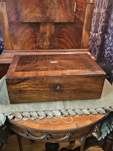 Antique 19th century scholar - antique, scholar's