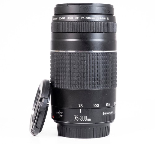 Canon 300mm 5 6 - canon, iii