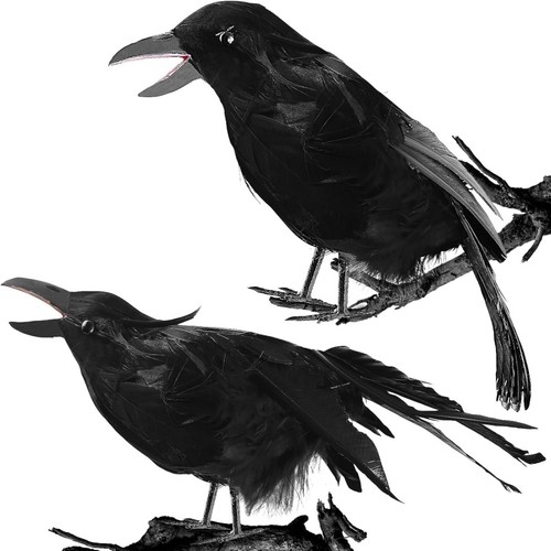 2pcs realistic black crows - realistic,