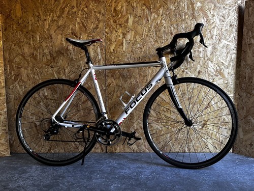 Focus variado expert compact - variado,