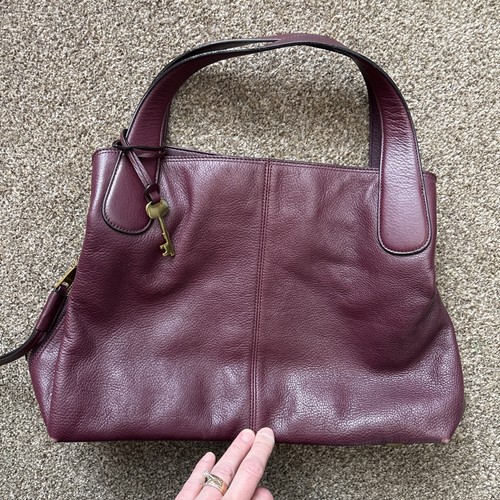 Large leather fossil - large,