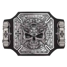 TRIPLE H “30 YEARS” SERIES