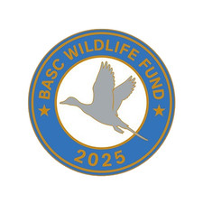 BASC WILDLIFE FUND 2025 PINTAIL BIRD IN FLIGHT ENAMEL BADGE WAGBI WILDFOWLING