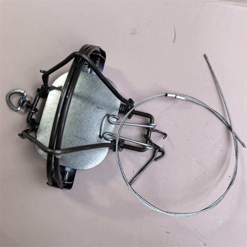 Inches coil spring rat - 4⅜,