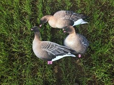 pinkfoot goose decoys silhouettes x12 (wildfowling UK, goose shooting)