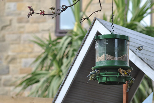Cleaner feeder - cleaner, 4