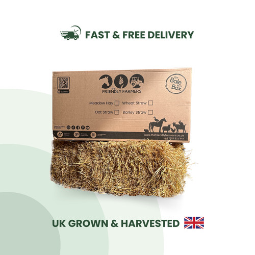 Barley straw bale - barley,