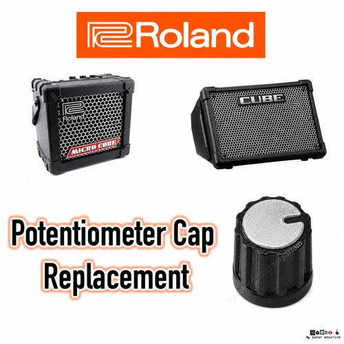 Roland micro cube - roland,