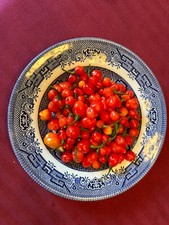 40 Hybrid Trinidad Scorpion