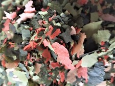 MALAWI FLAKE FOOD - MALAWI FLOCONS - CICHLIDE FLOCONS