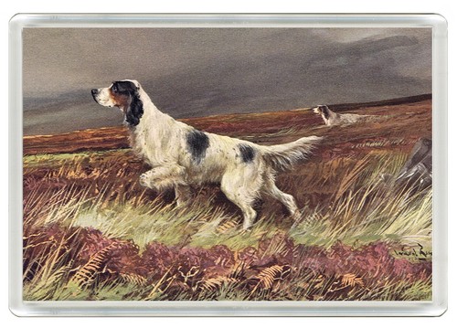 English setter dog fridge - dog,