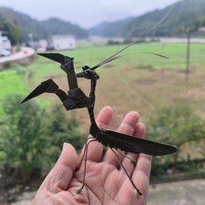 Qiang Ethnic Handmade Straw Woven Praying Mantis Ornament Desk Home Decor Gift