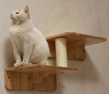 Wooden Cat Wall Steps 2-Level | Shelf & Climber Ladder for Cats
