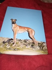 greyhound picture  on canvas