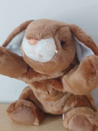 Beanie buddy ears - beanie, rabbit