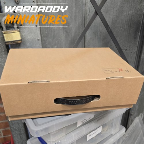 Multi figure carry case - kr,