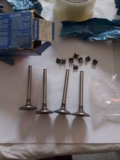 Series 4 Intake Valves Renault